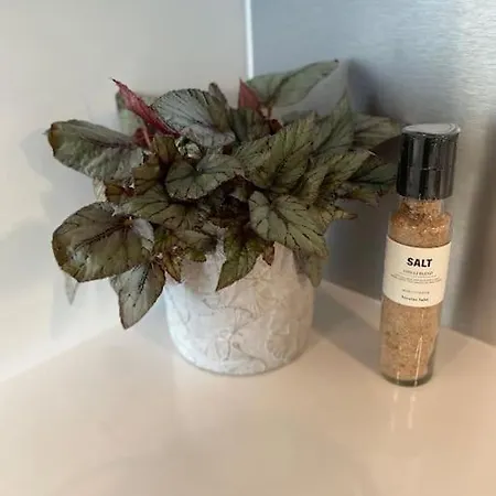 Nokia-areenan Naekoealayksioe 公寓