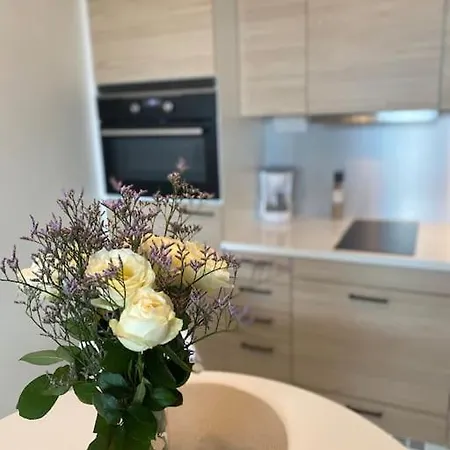 Nokia-areenan Naekoealayksioe דירה *